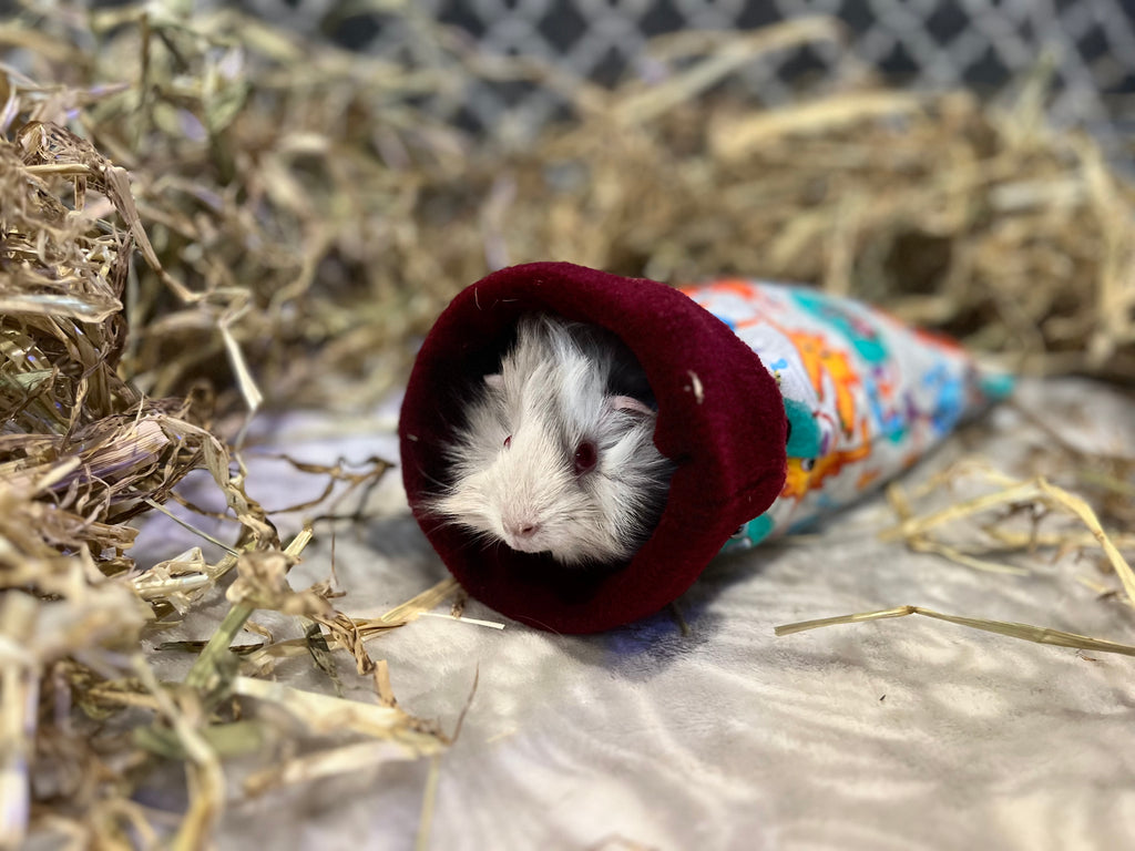 The Cuddle Sack