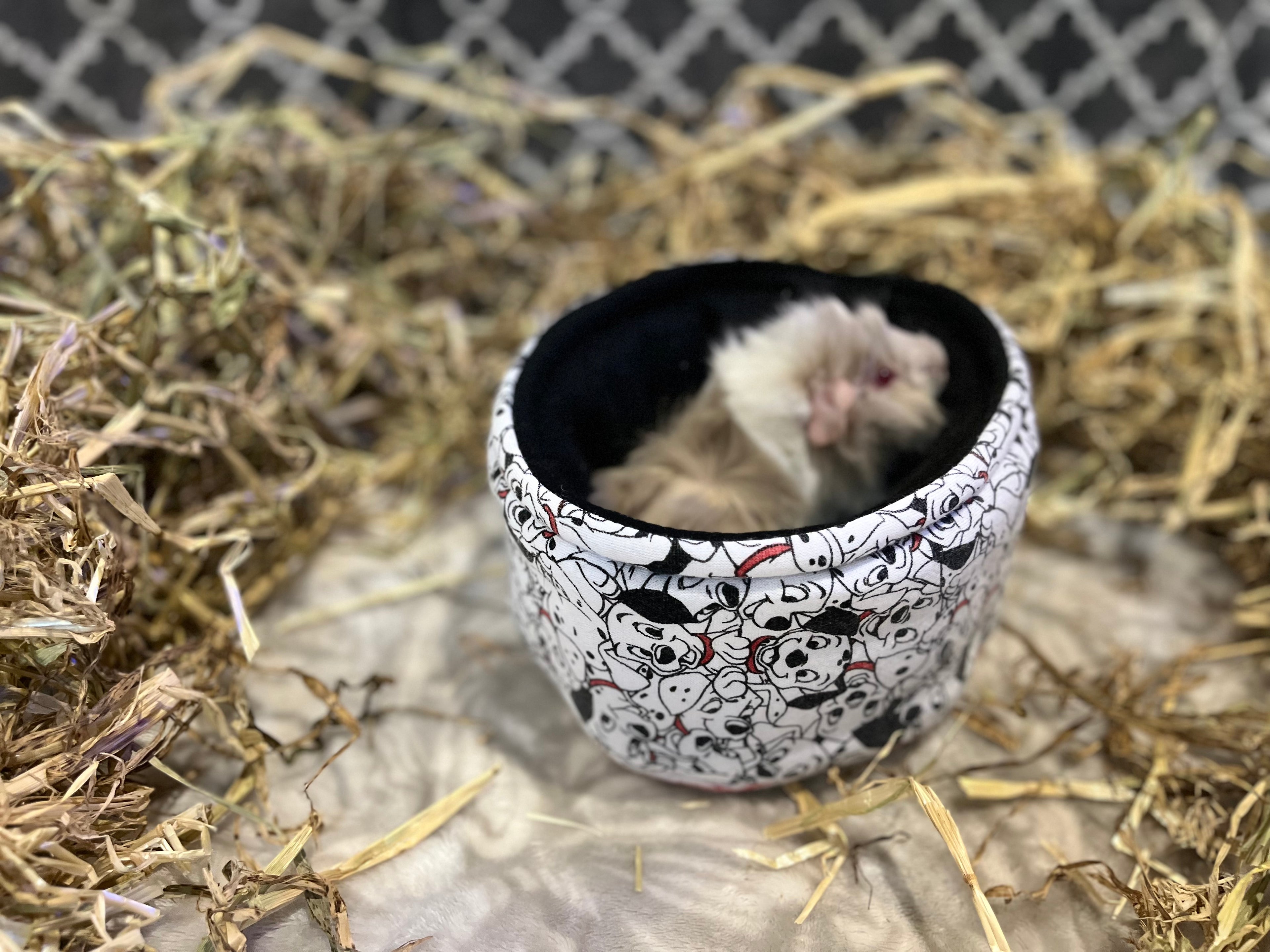 The Cuddle Cup