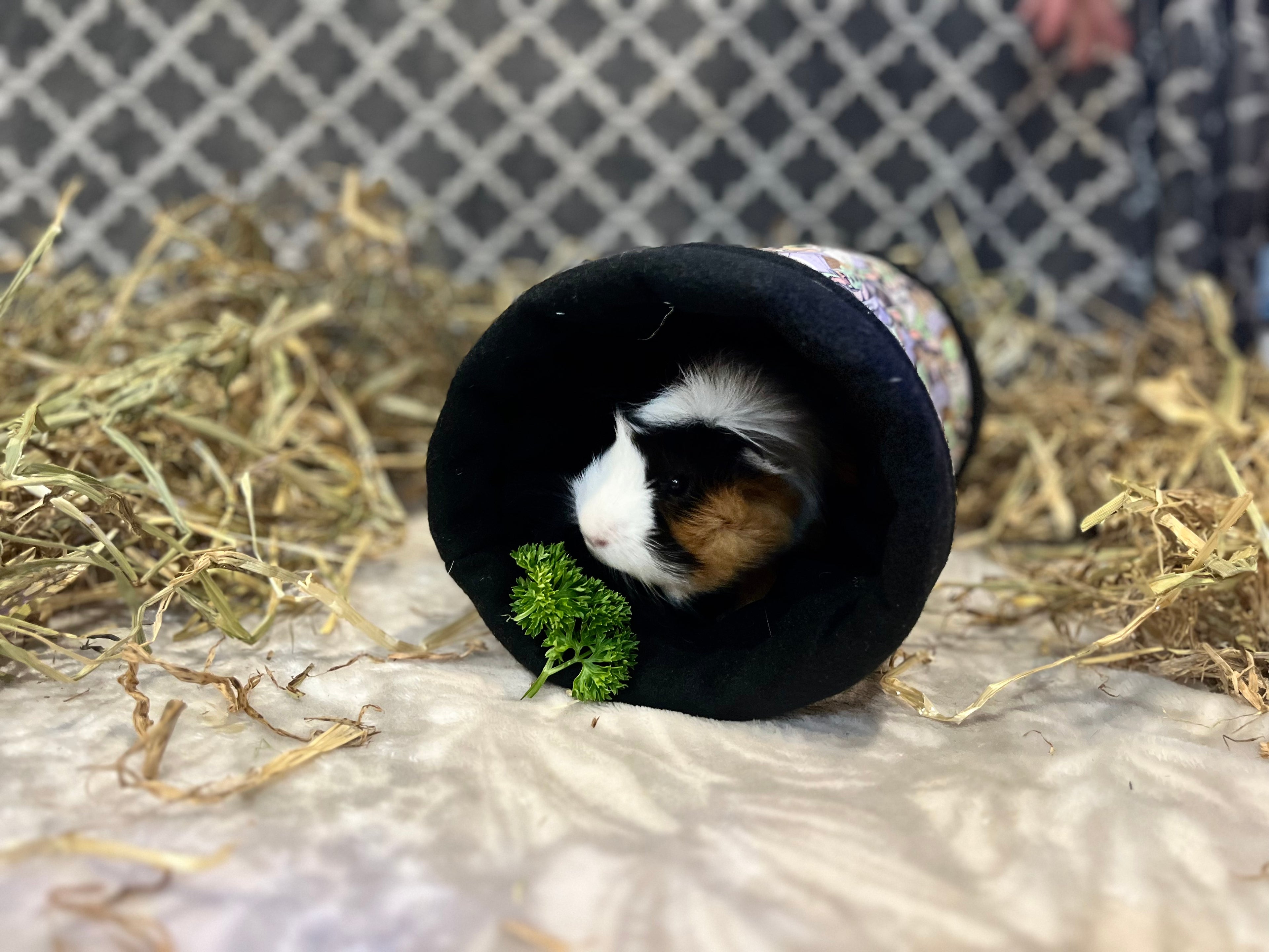 The Tunnel