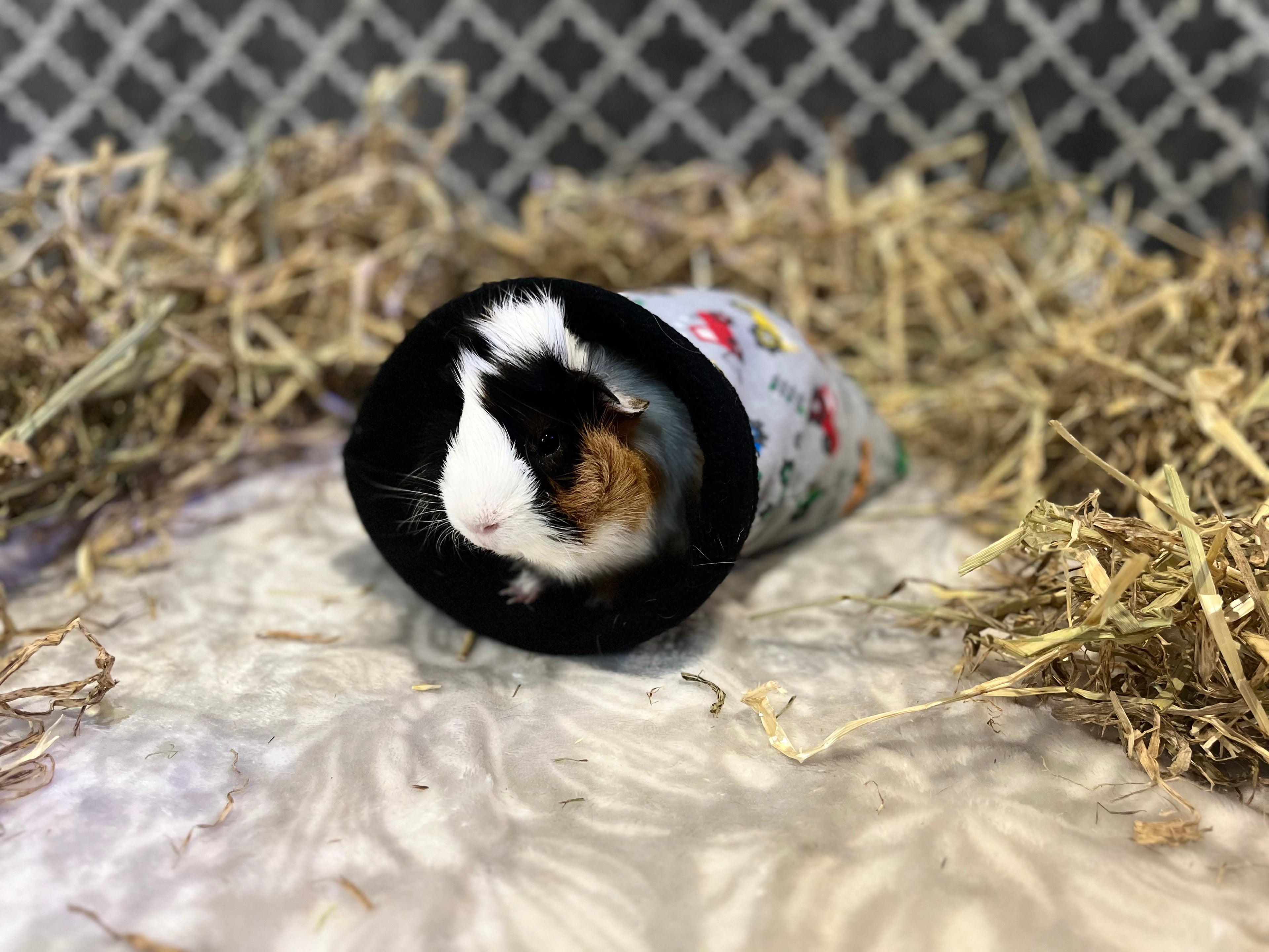 The Cuddle Sack