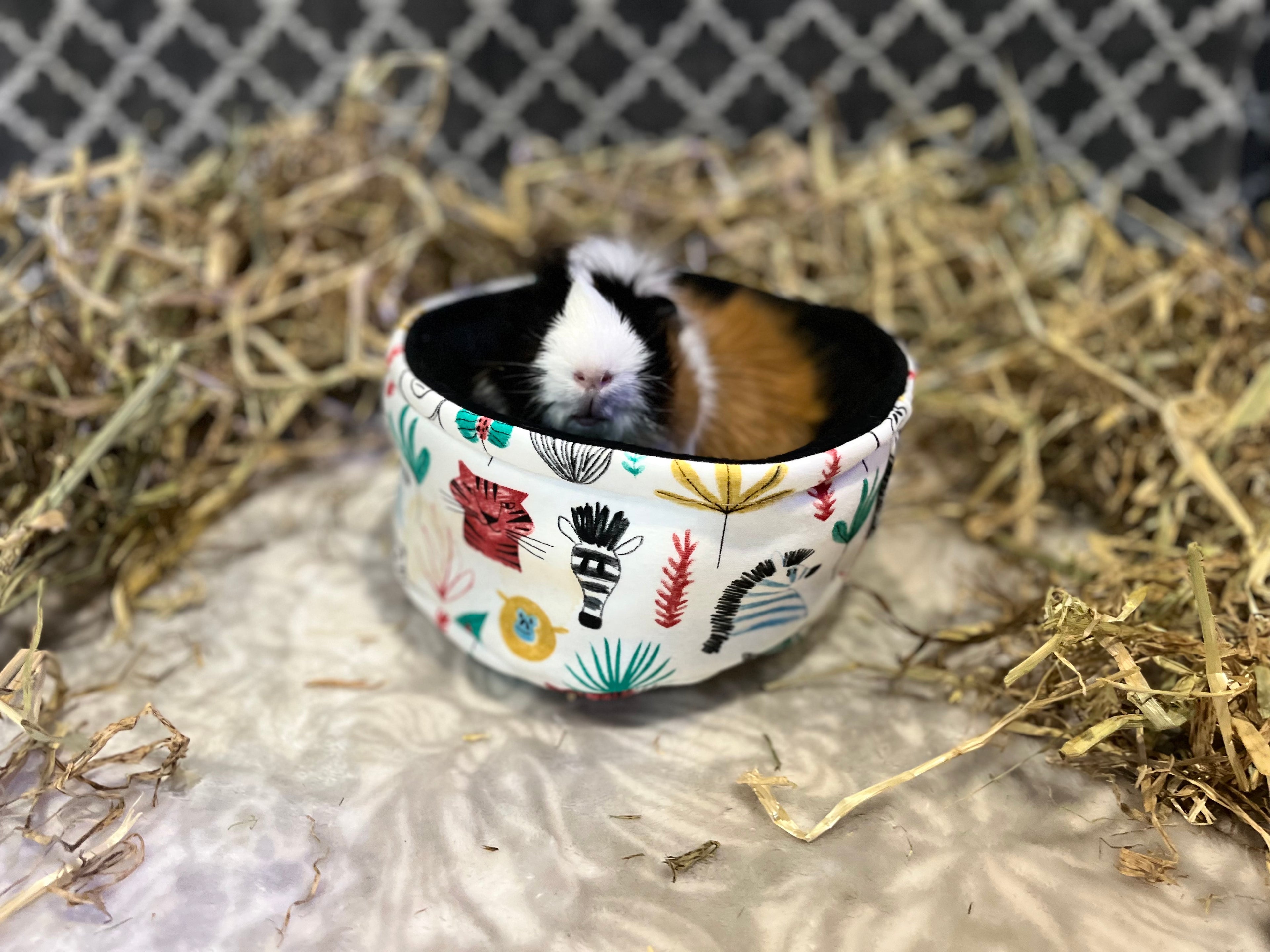 The Cuddle Cup