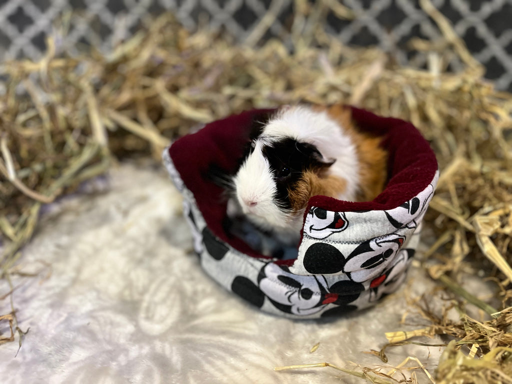 The Cuddle Bed
