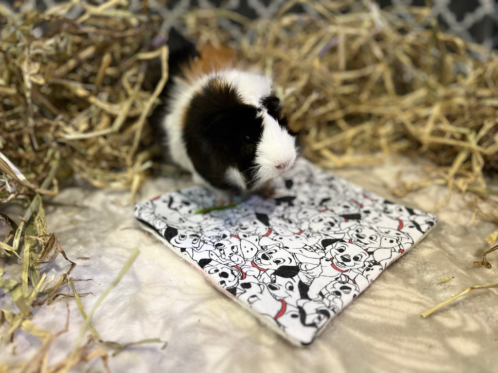 The Lap Pad