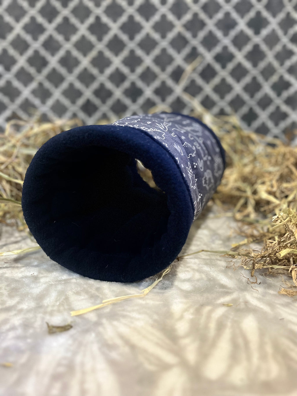 The Tunnel