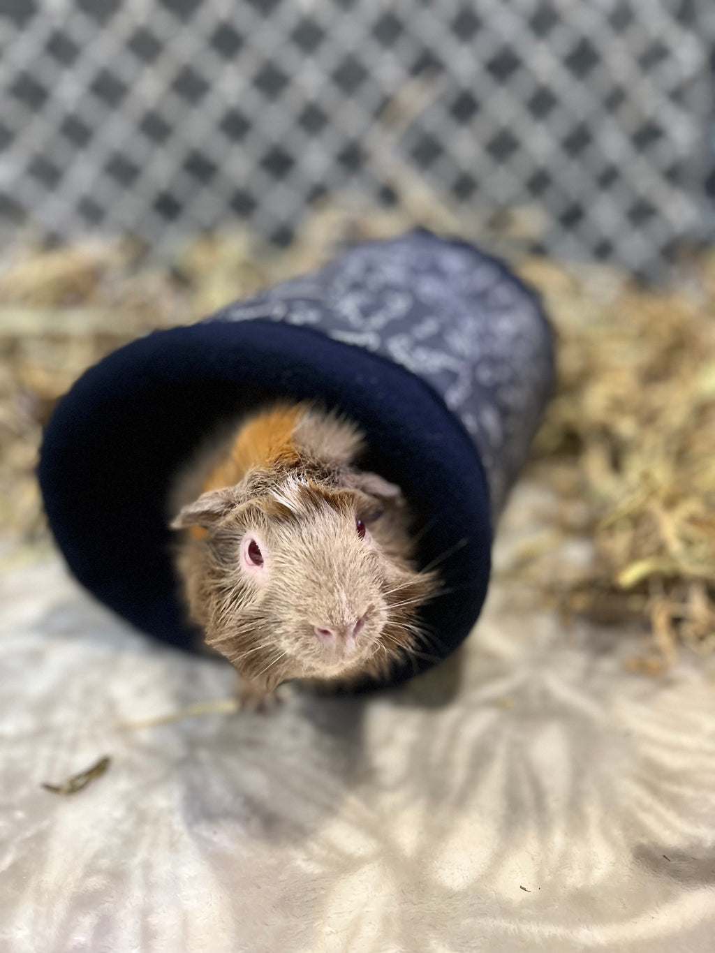 The Tunnel