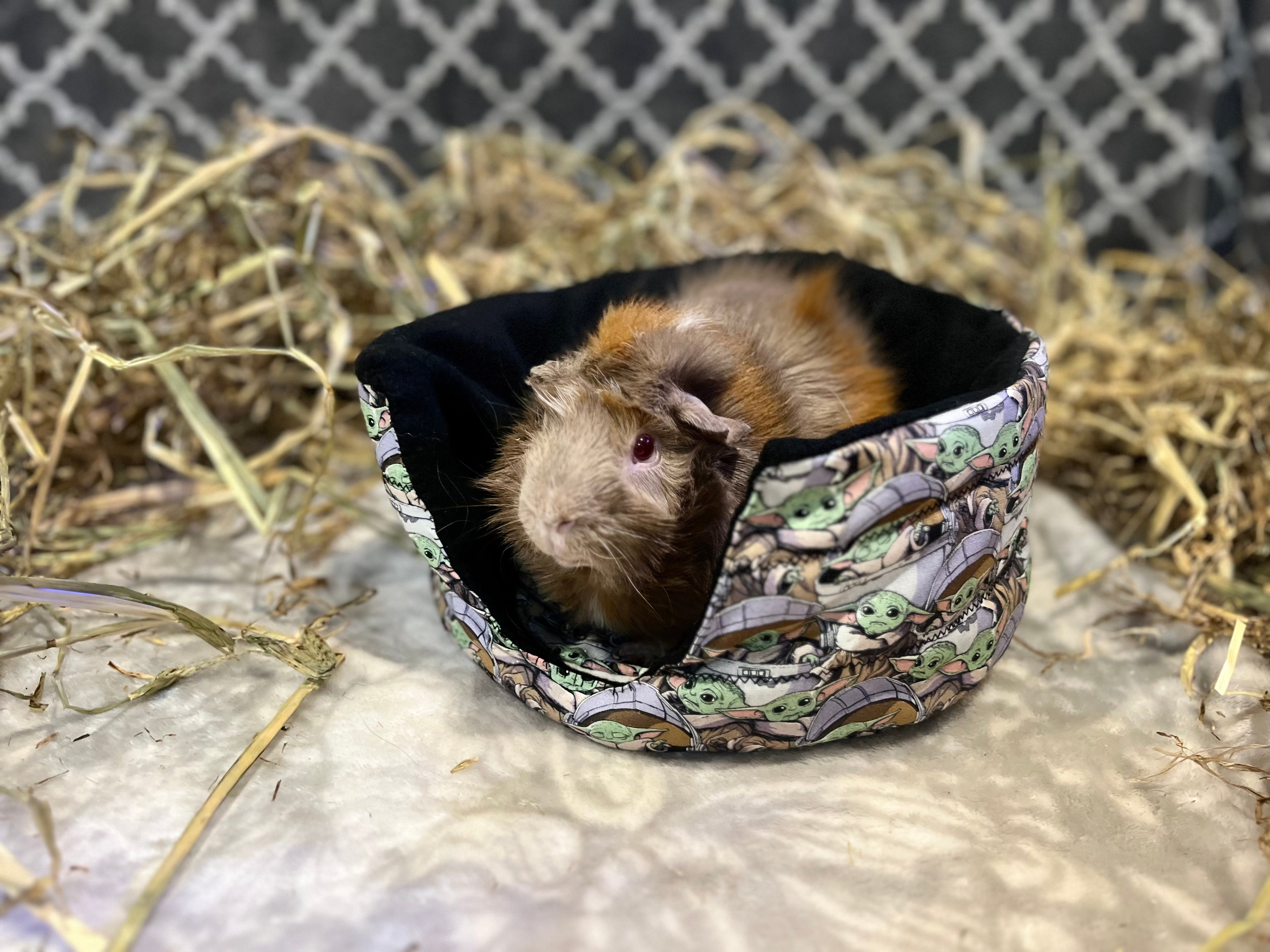 The Cuddle Bed