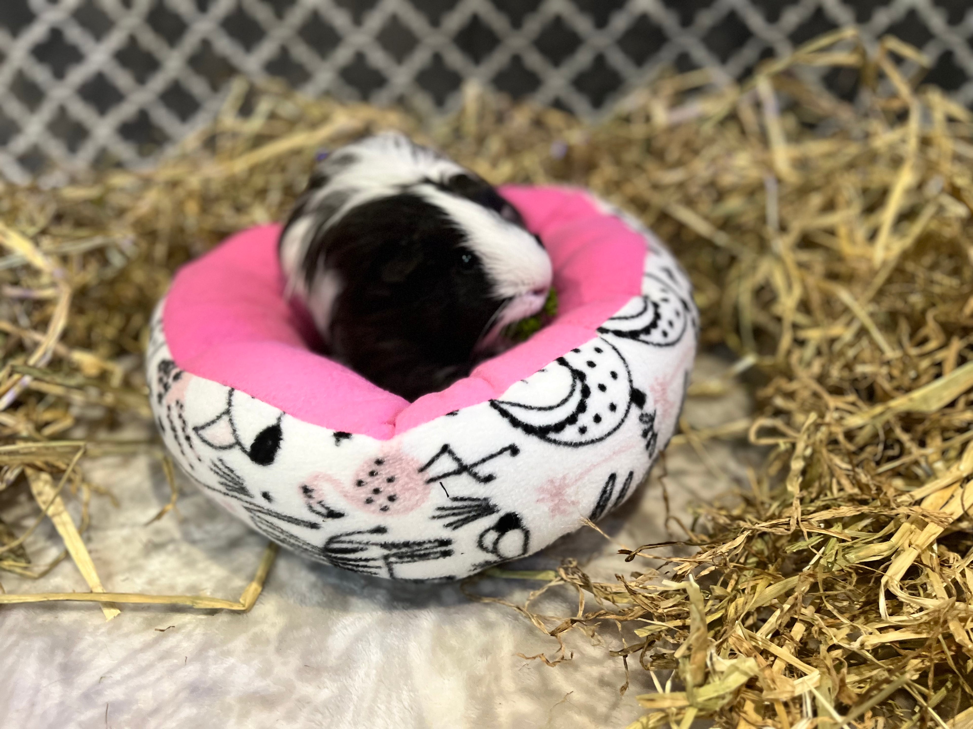 The Donut