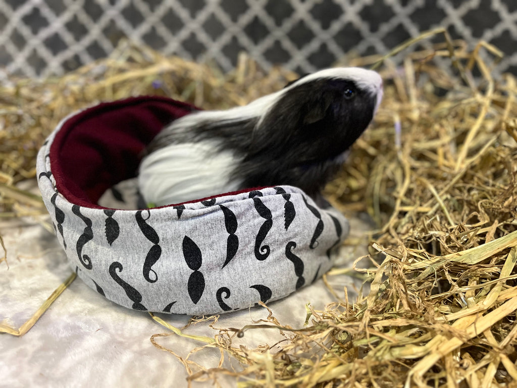 The Cuddle Cup