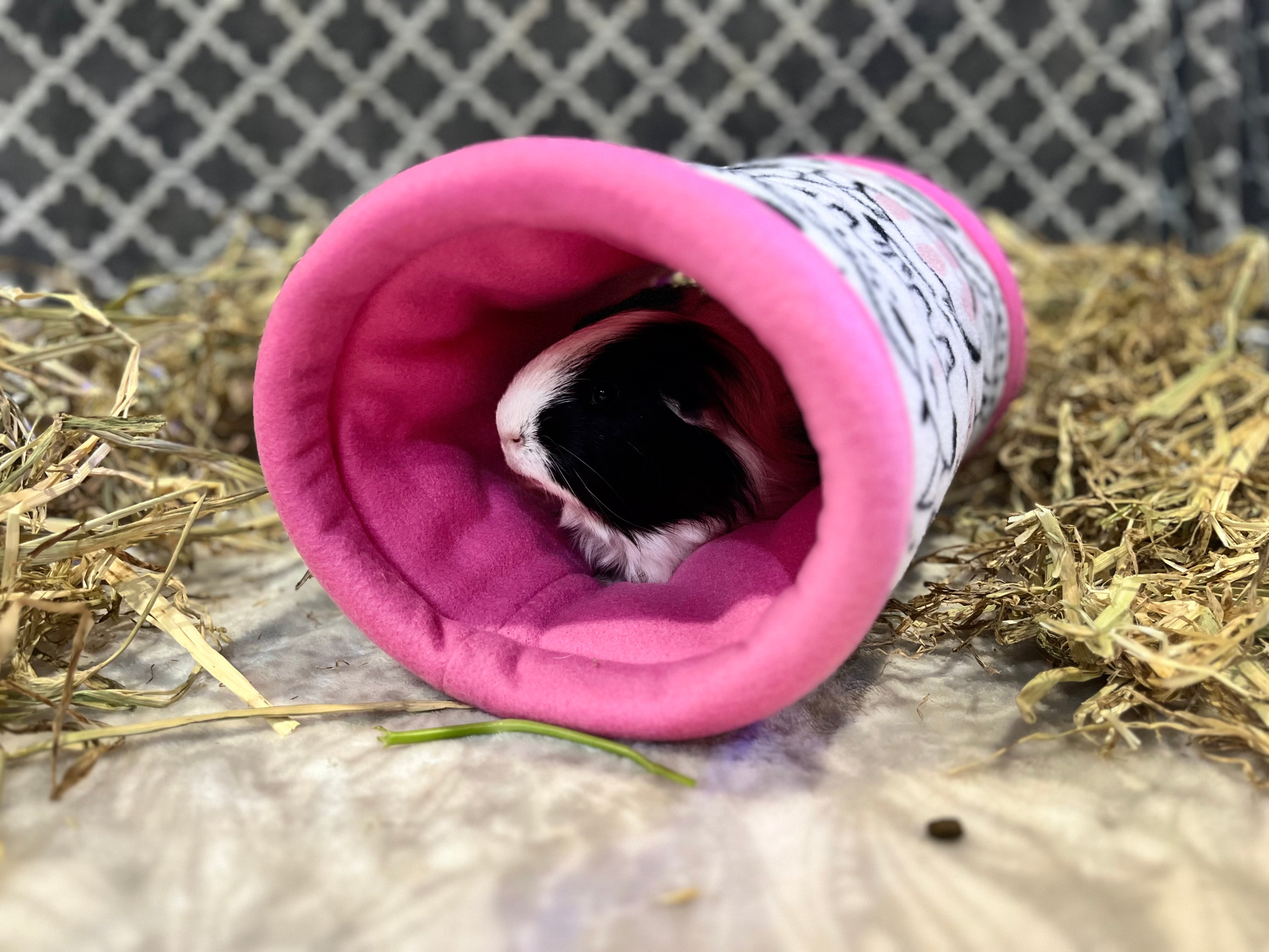 The Tunnel