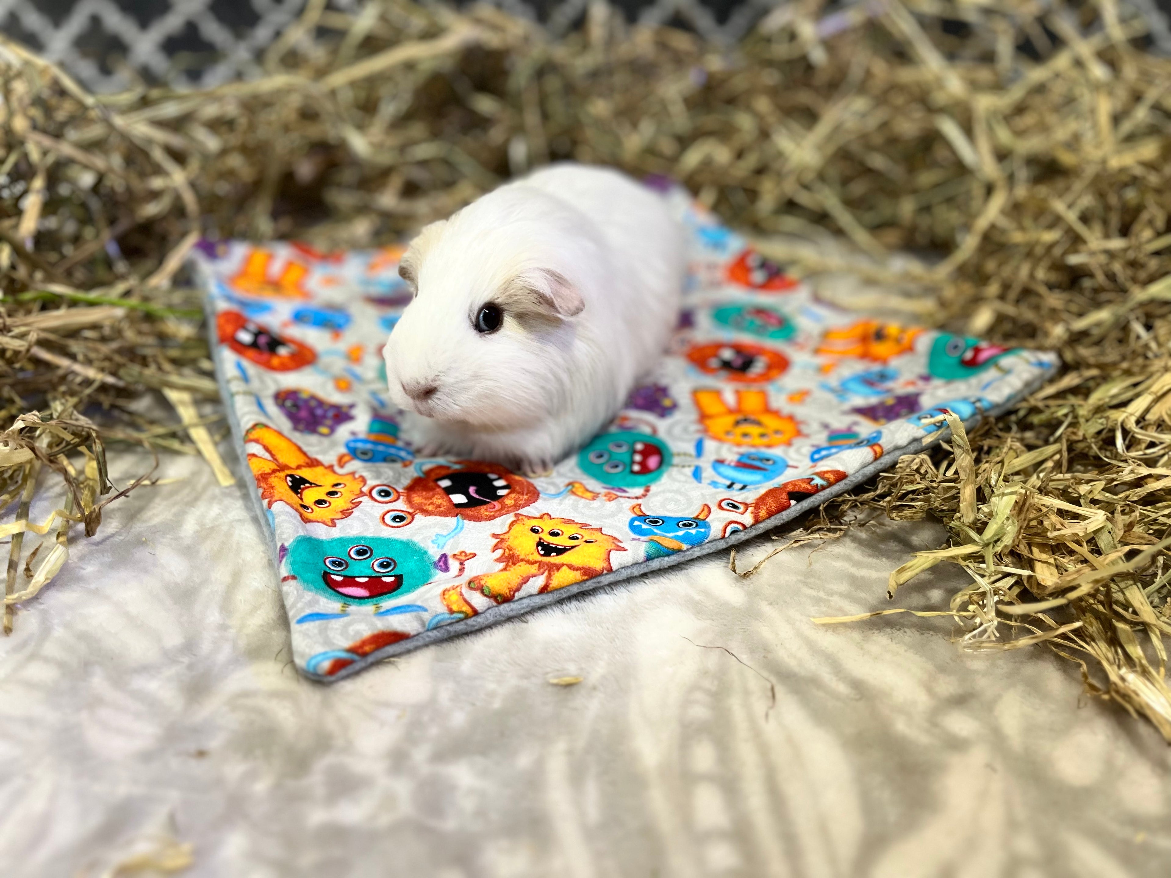 The Lap Pad