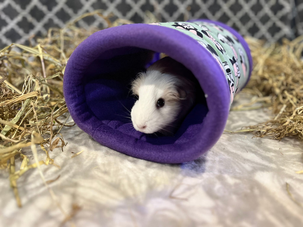 The Tunnel